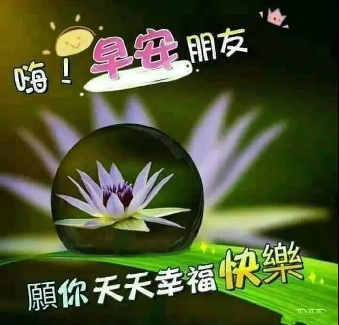 中老年表情包,心若年轻岁月不老,看淡一切自然就好!