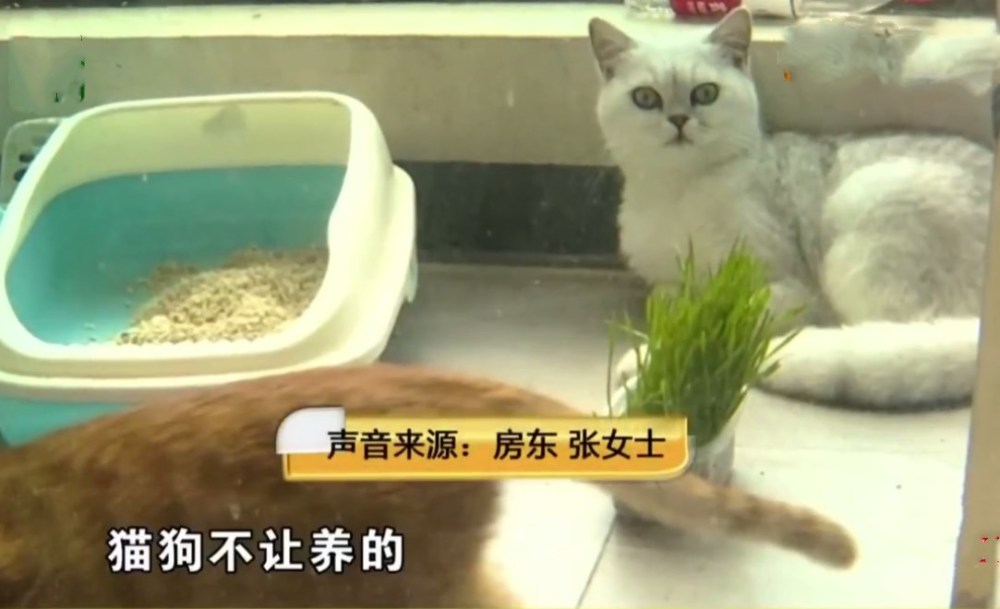 租房1礼拜就赶人，还把租客行李给扣了，房东：想要行李，钱拿来