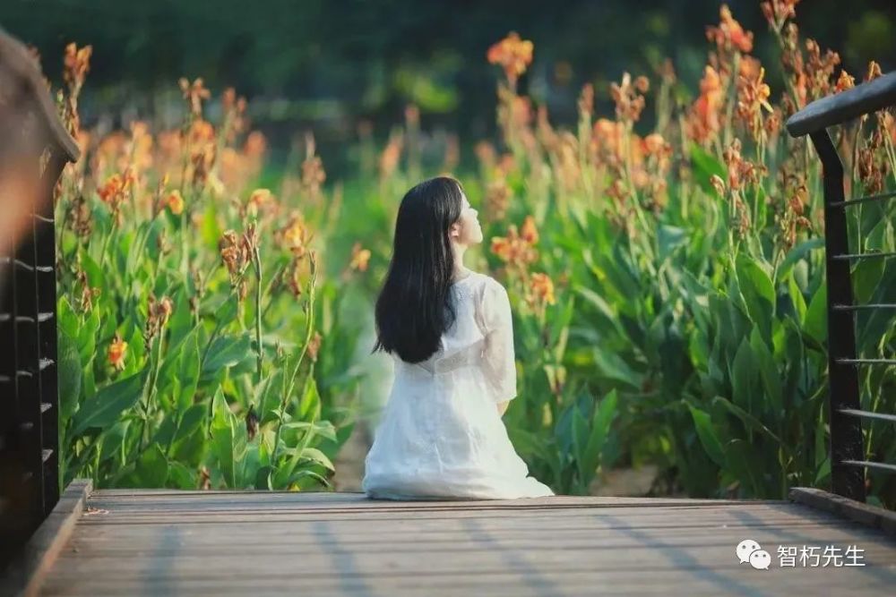 女人最好的活法:我若盛开,蝴蝶自来