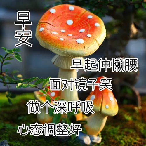 6月12日最漂亮早上好动态表情图片大全,早晨好动图美图大全