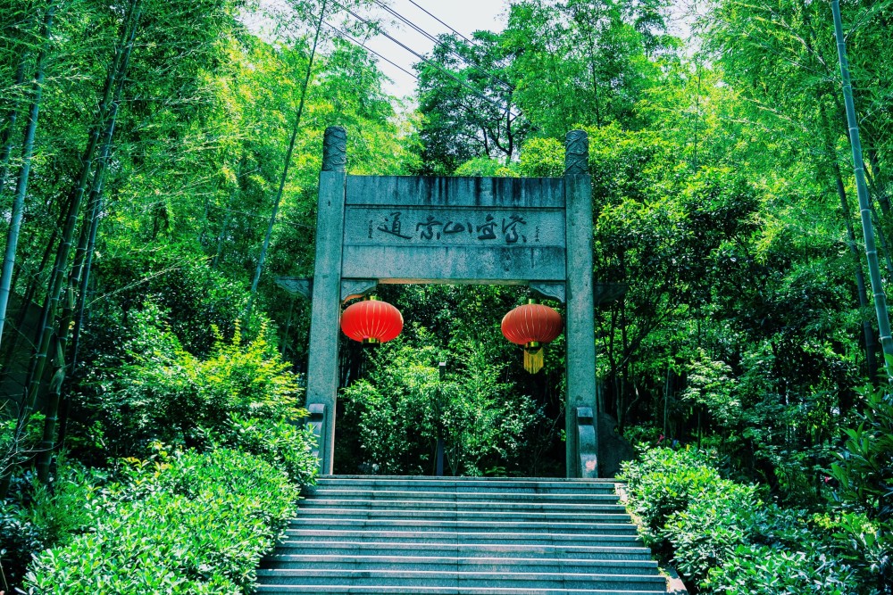 六月徒步南京游记,梅雨漫游紫金山周边