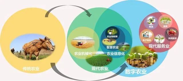 传统农业到数字农业的变化农业信息化精准农业智慧农业数字农业