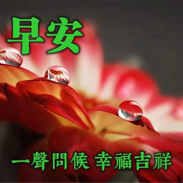 祝福好朋友友谊长久早安的图片带字,很贴心的早安精辟