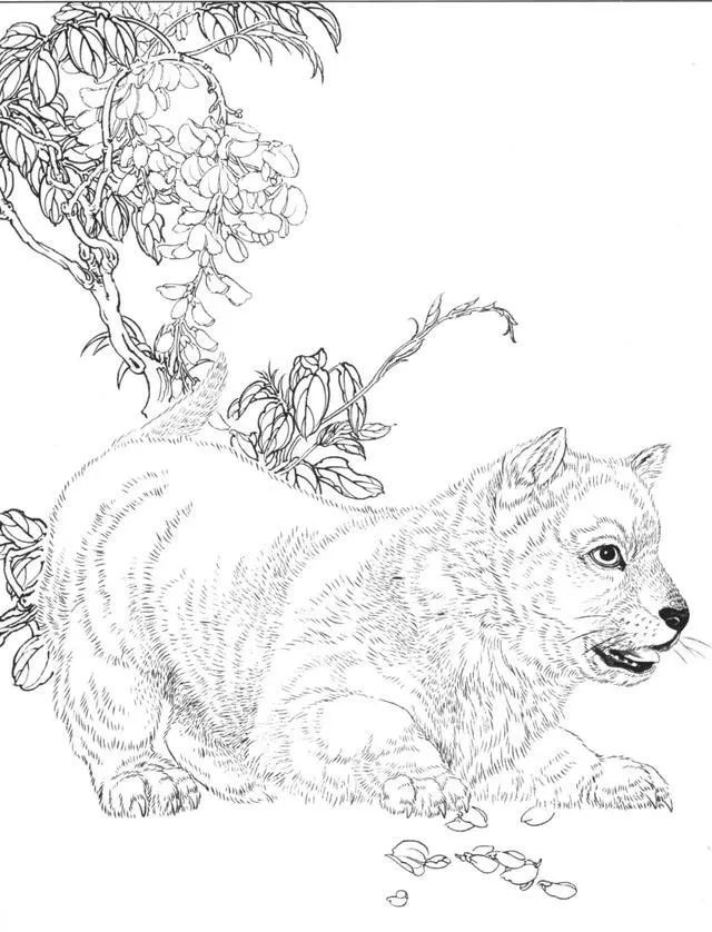 狗狗白描 历代名家画笔下的狗