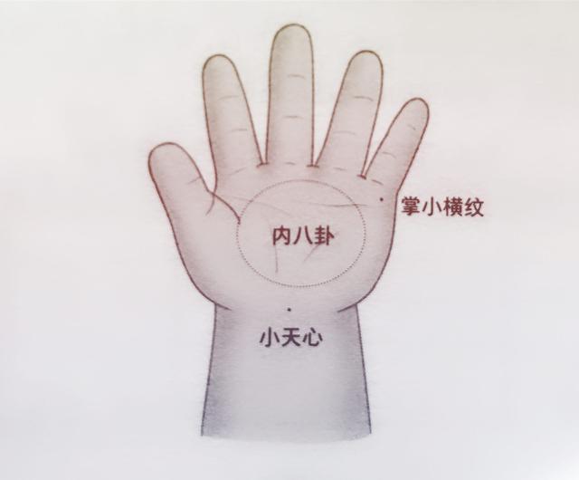 分阳阴:按摩者以双手拇指指腹从孩子掌横纹中点向两旁分推,1-2分钟.