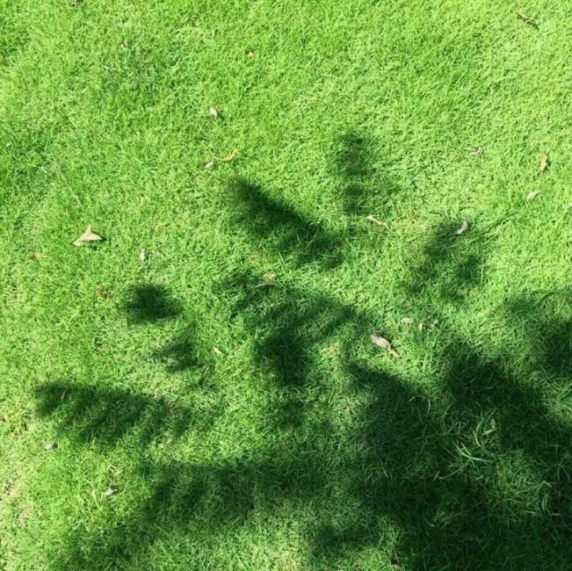 温柔系背景图:最好的状态是来日可期,让我们在未来重逢吧!