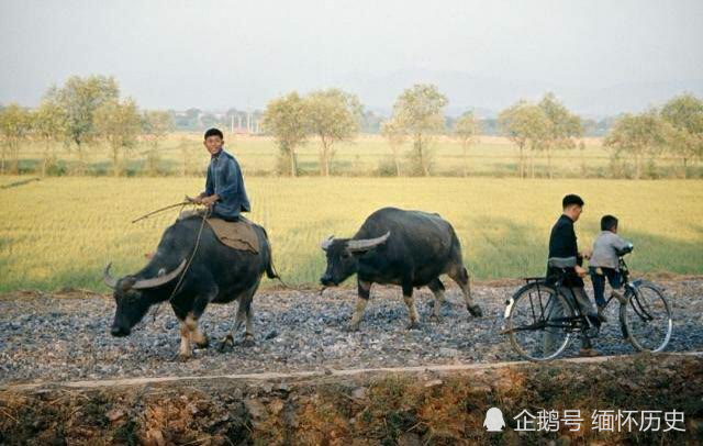 老照片:中国70年代的农村生活旧影,满满的年代感