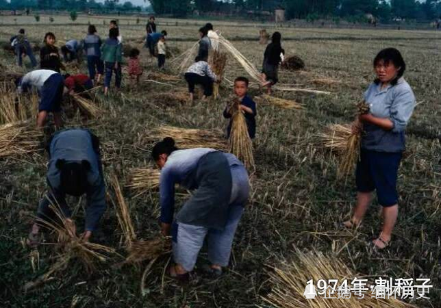 老照片:中国70年代的农村生活旧影,满满的年代感