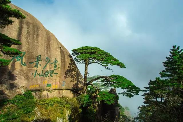 黄山迎客松