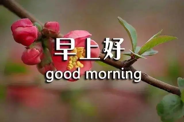 最新星期六早上好温馨句子,清晨问候大家早上好漂亮的
