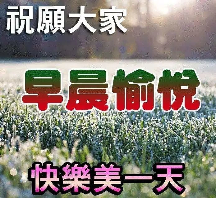 最新星期六早上好温馨句子,清晨问候大家早上好漂亮的