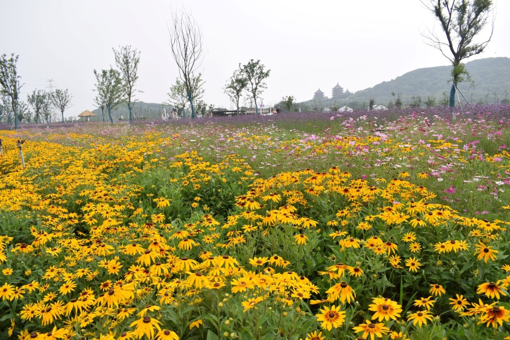 走进网红地,张家港河阳田园肖家巷非遗村