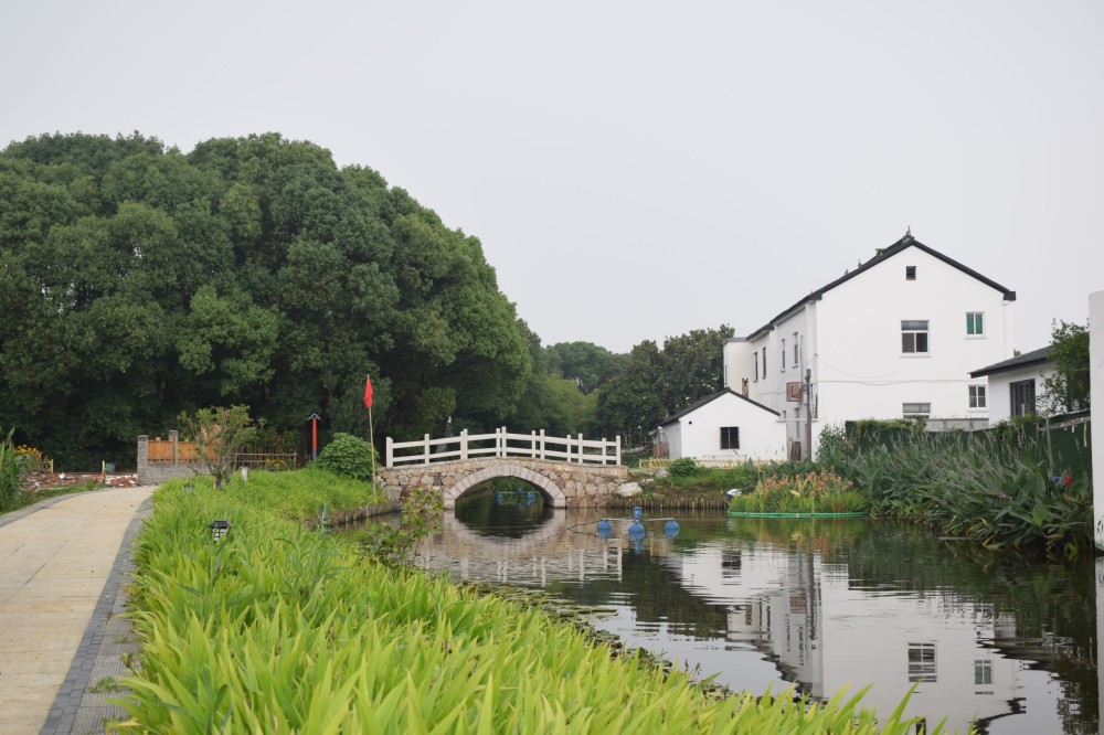 走进网红地,张家港河阳田园肖家巷非遗村