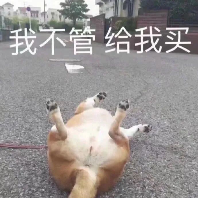 表情包小姐姐来玩呀