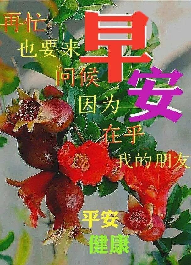 最新早上好温馨祝福句子,清晨问候大家早上好的漂亮图片