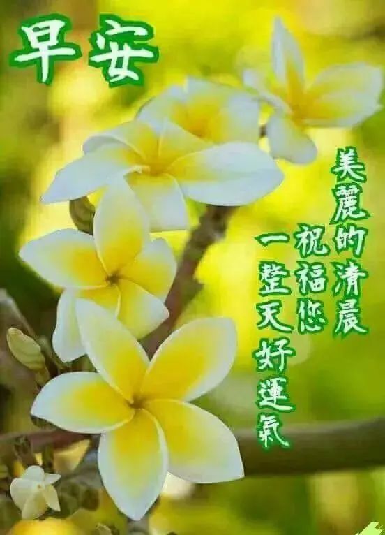 6月13日最新清晨祝福早上好问候语 朋友圈大家早上好