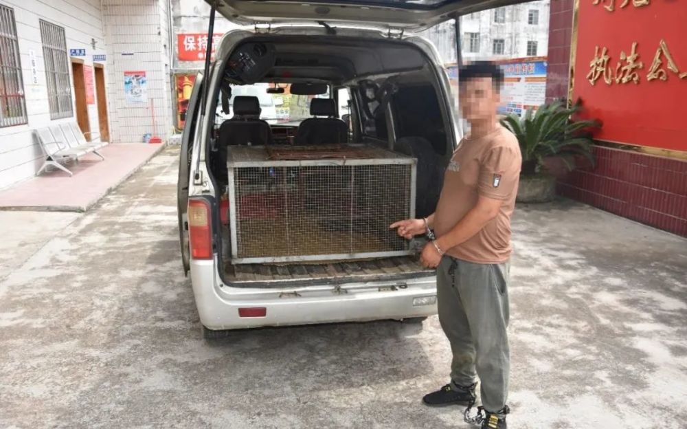 容县各个镇gdp_容县各个镇的区划图