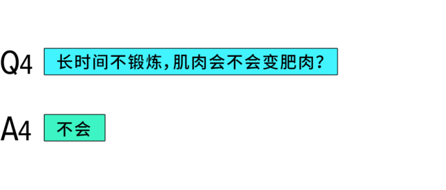 长期不锻炼,肌肉会不会变肥肉?