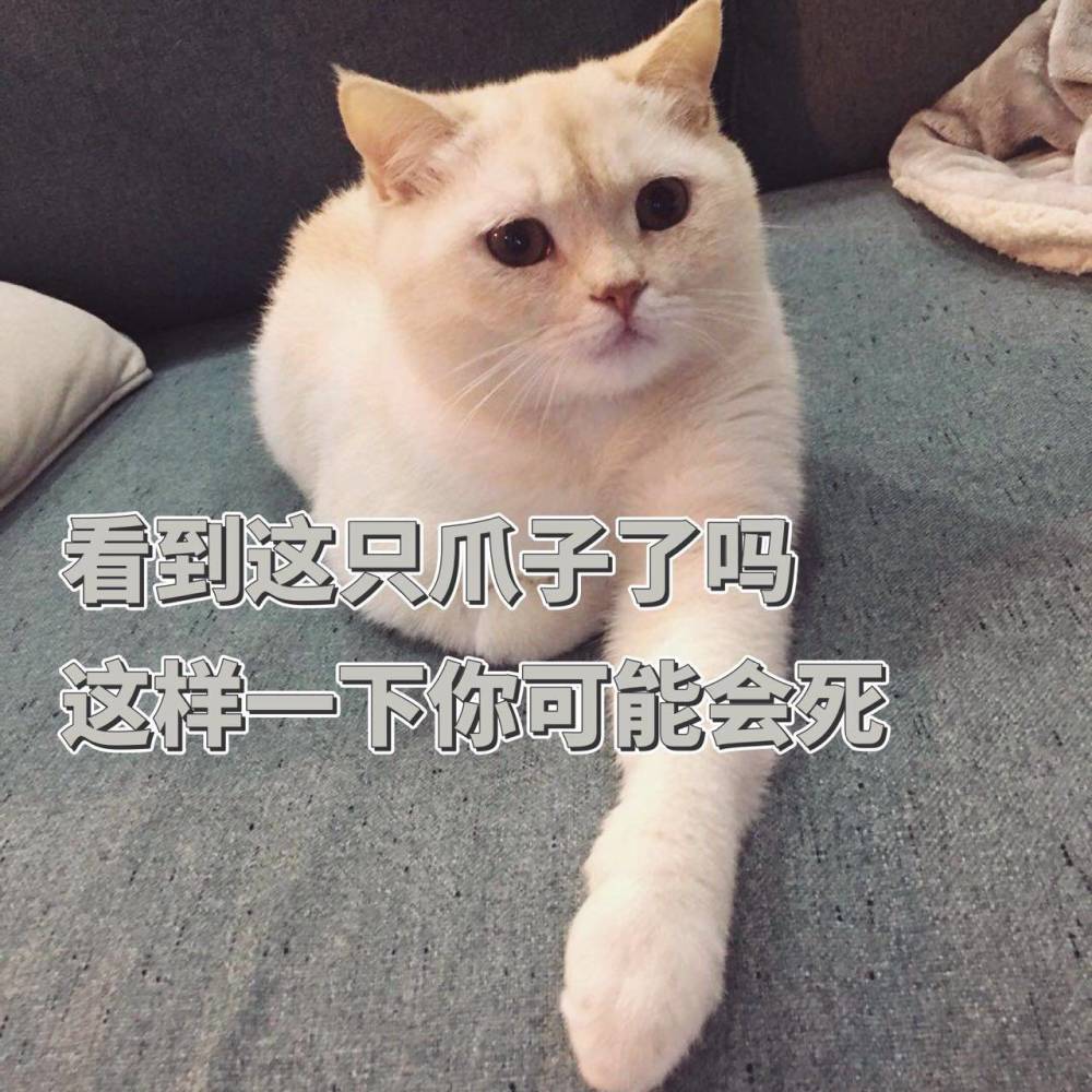 沙雕表情包l我建议你有空想我一下