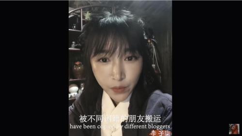 李子柒视频被越南人剽窃，不注明来源还配上越南语