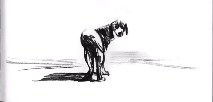 瞧，这条狗，活得像人一样