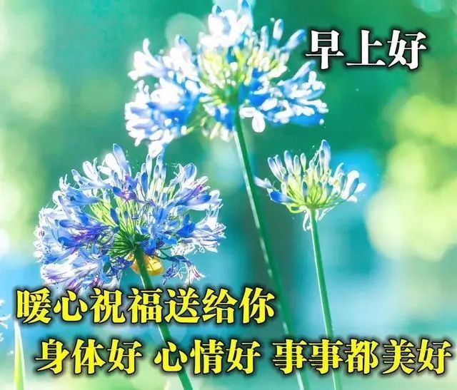 6月14日朋友圈精选早上好动态图片带字,清晨祝福表情图片带字图片