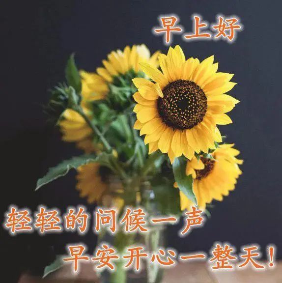 六月最美早安祝福表情图片带字图片
