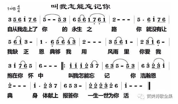 赞美诗歌大全《叫我怎能忘记你》