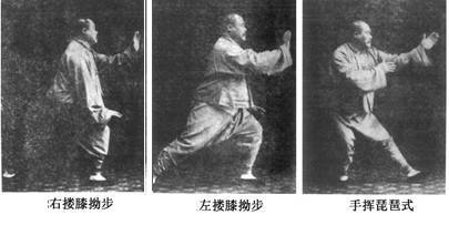谈心意蹲猴,形意熊经鸟伸,太极九曲珠异同