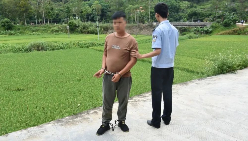 容县各个镇gdp_容县各个镇的区划图