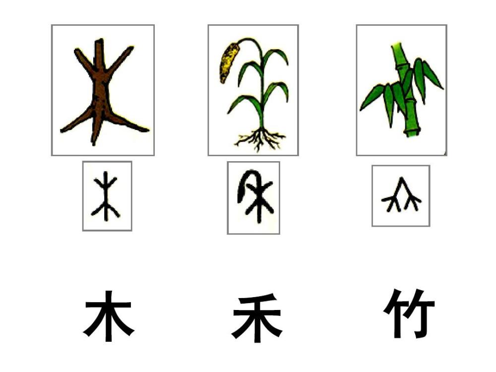 符号和象形文字的差别,揭示出近现代中国科技落后的一