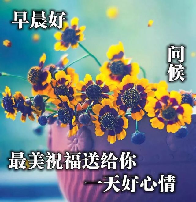 清晨早安祝福动态图片大全 最新早上问候语图片加文字