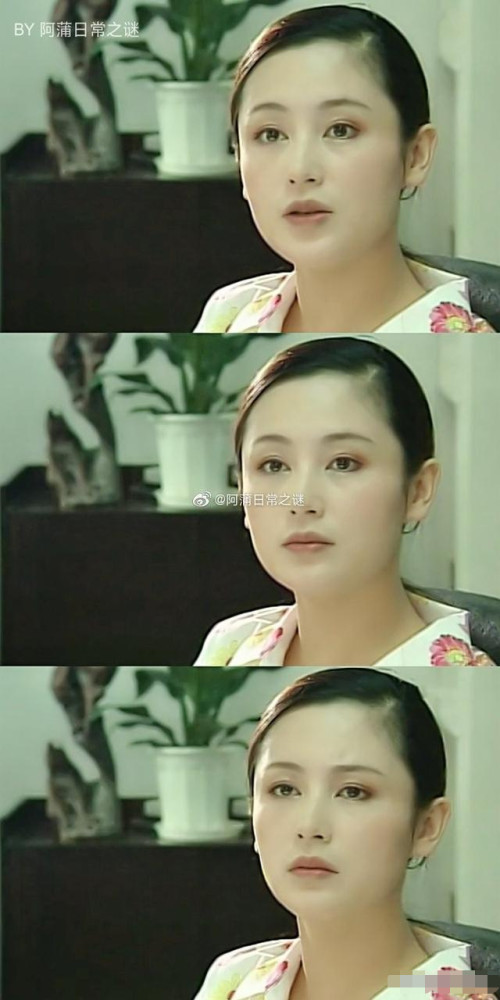 1993年,参演电视剧《梅花三弄,饰演汪子璇.1998年,参演电视剧