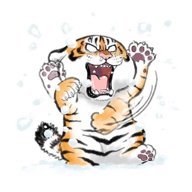 他把老虎画成520斤的"肥猫",引来45万粉丝点赞,网友:这虎真胖