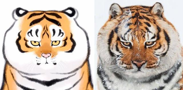 他把老虎画成520斤的"肥猫",引来45万粉丝点赞,网友:这虎真胖
