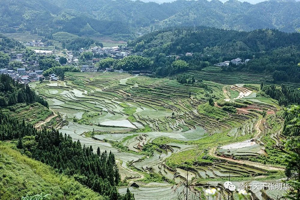 花垣县有多少人口_花垣县火焰土村告别山旮旯 拥抱新生活