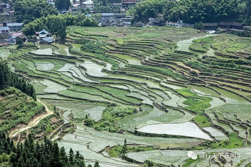 花垣县有多少人口_花垣县火焰土村告别山旮旯 拥抱新生活