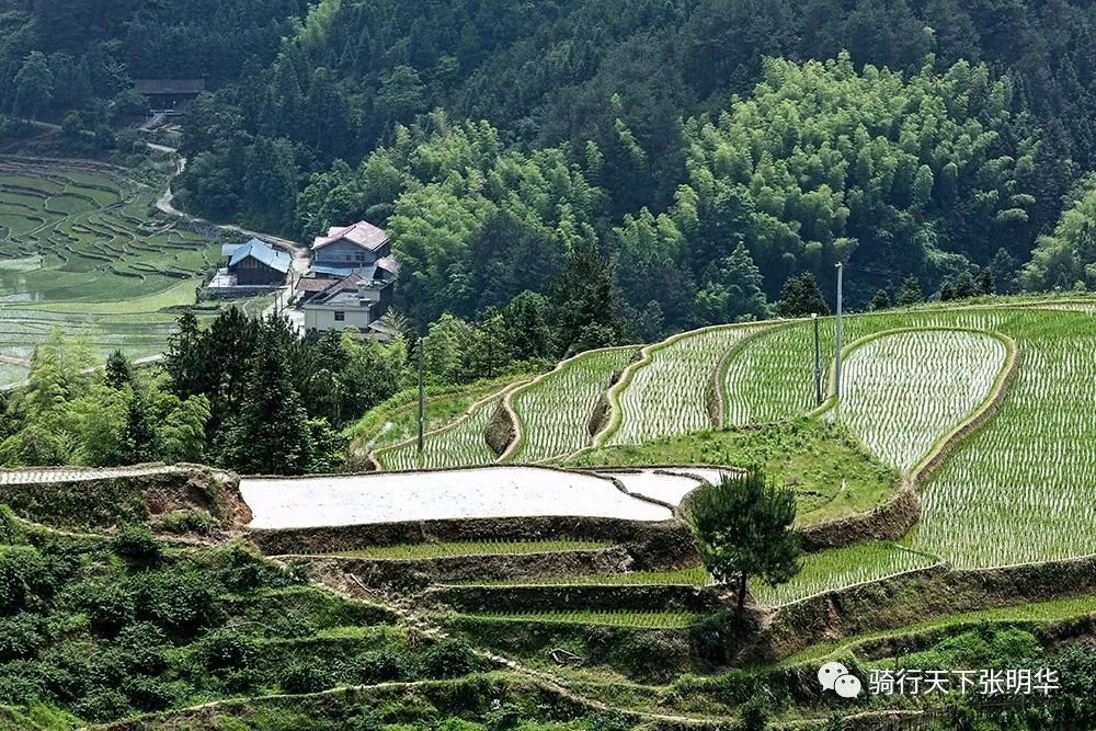 花垣县有多少人口_花垣县火焰土村告别山旮旯 拥抱新生活(2)