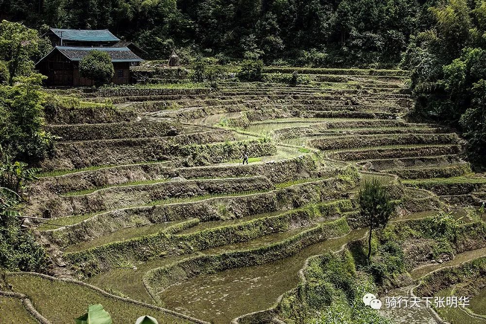 花垣县有多少人口_花垣县火焰土村告别山旮旯 拥抱新生活(2)