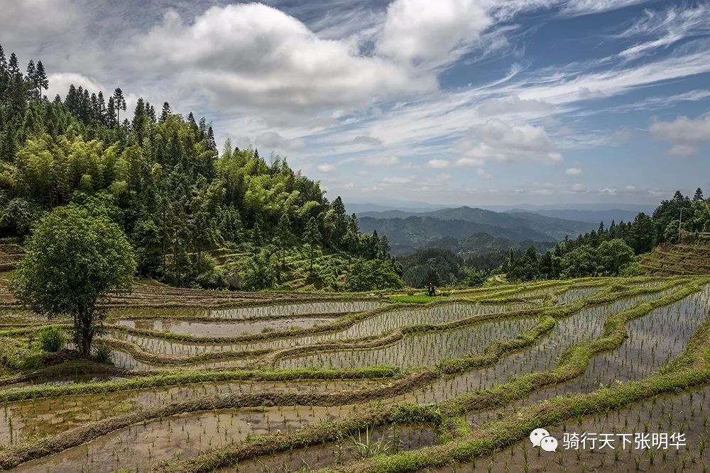 花垣县有多少人口_花垣县火焰土村告别山旮旯 拥抱新生活