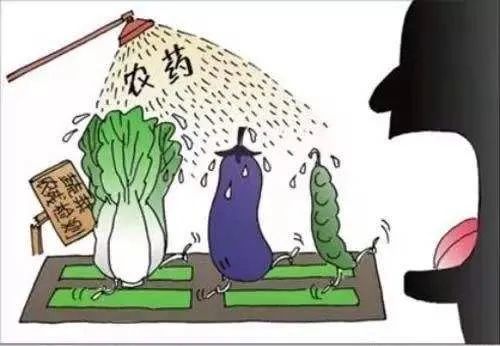 多吃新鲜应季蔬菜，想不健康都难，6月4种蔬菜，总有一种你喜欢