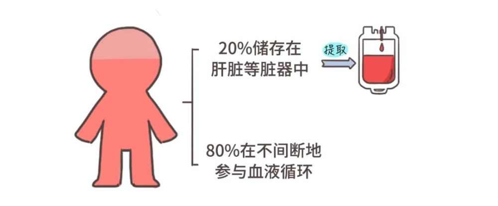 无偿献血背后的“黑幕”，震碎我的三观……