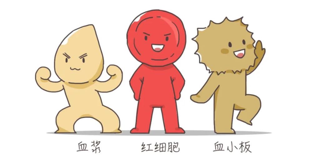 无偿献血背后的“黑幕”，震碎我的三观……