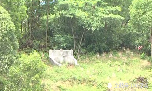 业主购得风景秀丽山景房入住后才知是“坟景房”