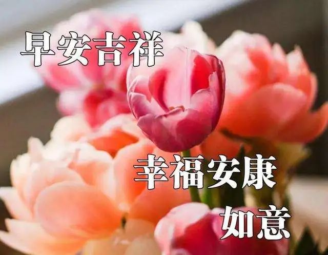 最新早上好温馨祝福句子,新的一周最美早安问候语图片