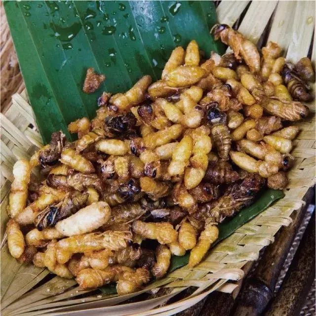 在云南吃昆虫大餐,五种虫子嘎嘣脆,蚂蚁汤还挺开胃