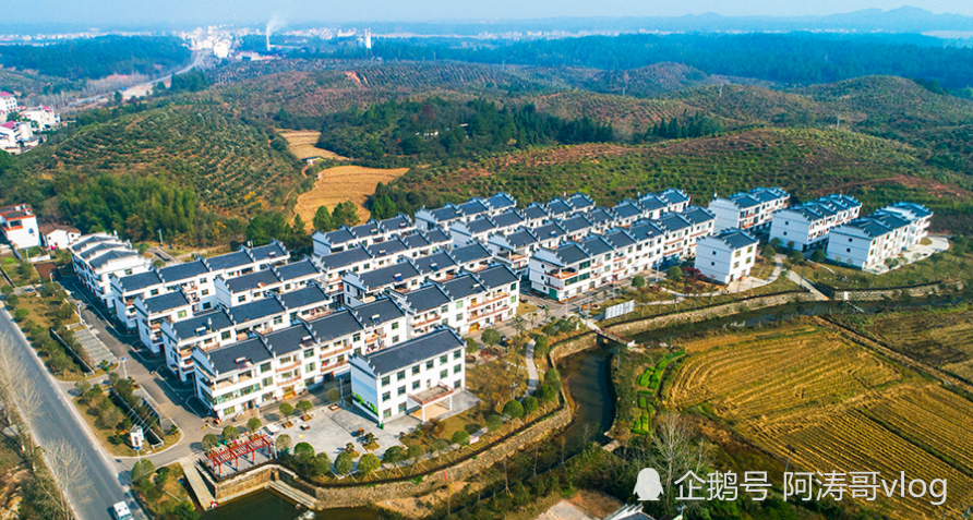 宁溪镇GDP_中山又一排名新鲜出炉 小榄全市排名第二 超越东区(2)