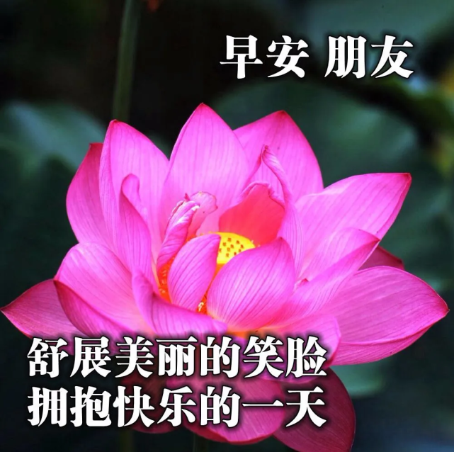 2020朋友圈感悟人生的早上好问候表情图片句子最新版