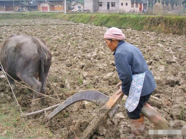 七十多还在种地干活的农民有很多,农村养老到底怎么