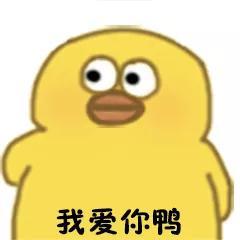 搞笑表情包:心碎了,今天也要加油鸭!